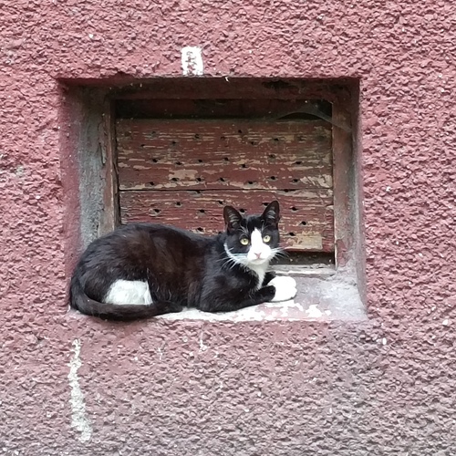 Photo #14040924