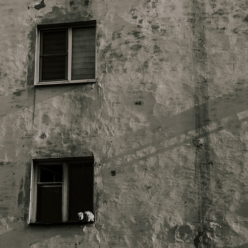 Photo #14040927