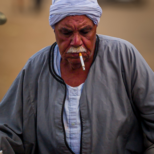Photo #14040949