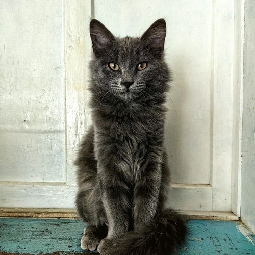 Photo #14040955