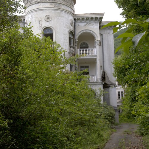 Photo #14040963