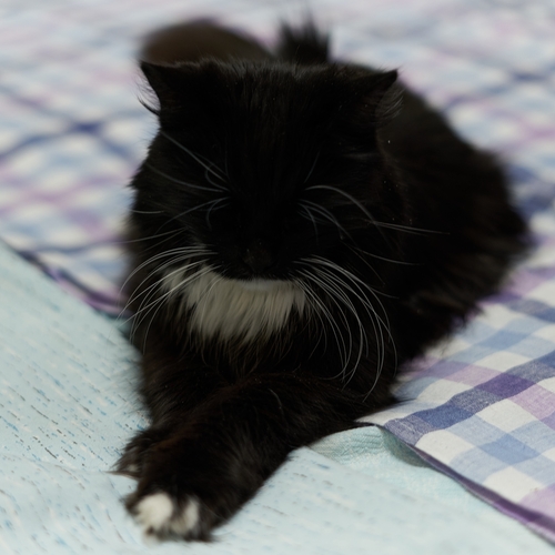 Photo #14041019