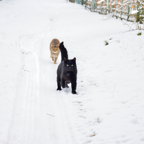 Photo #14041046