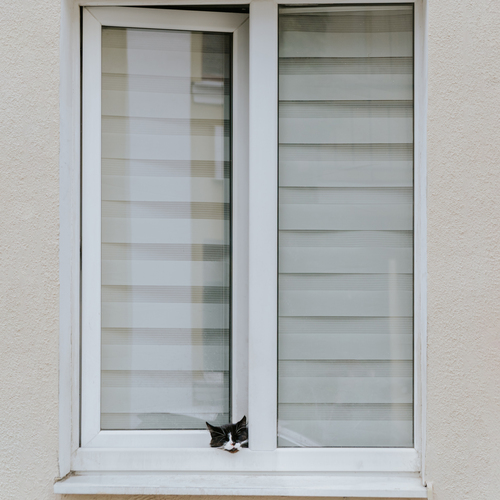 Photo #14041086