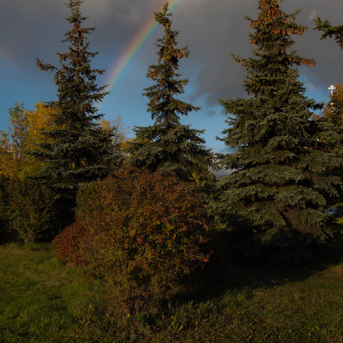 Photo #14041241