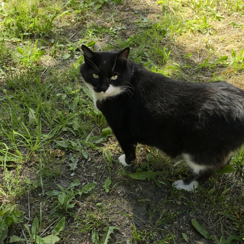 Photo #14041286