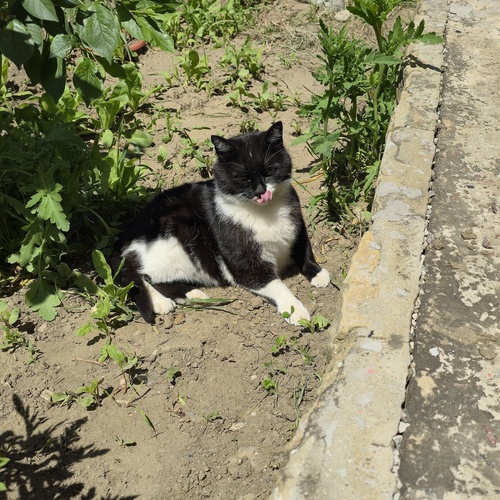 Photo #14041287