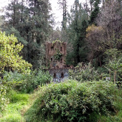 Photo #14041294