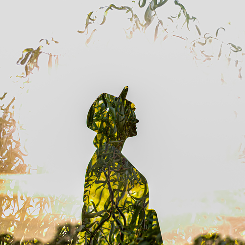 Photo #14041338