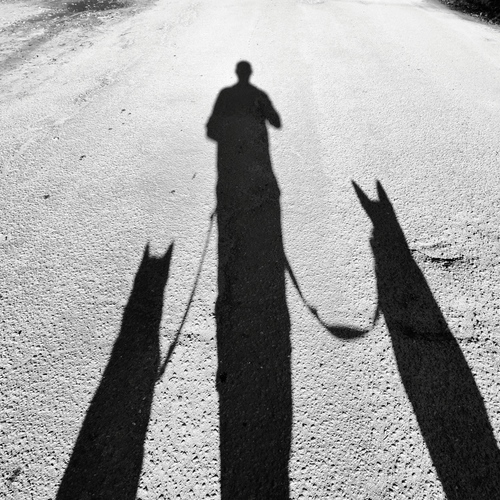Photo #14041428