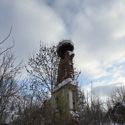 Photo #14041429
