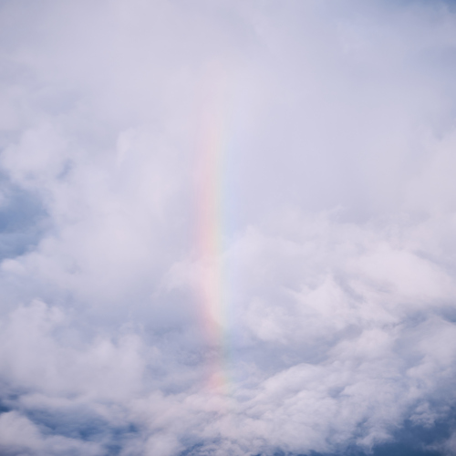 Photo #14041431