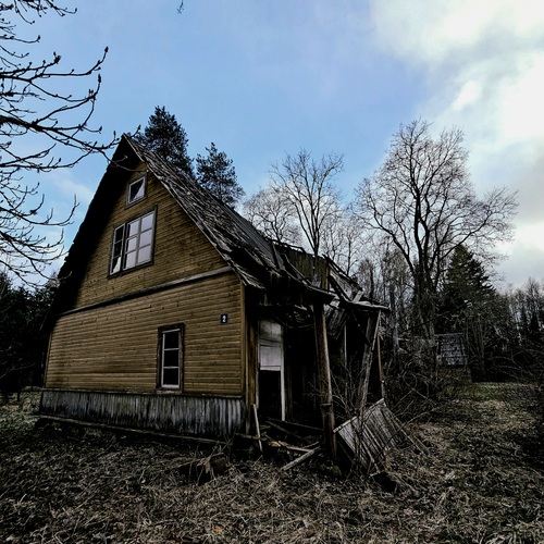Photo #14041453