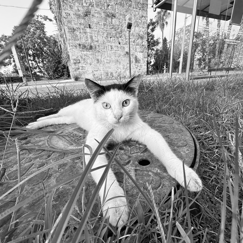 Photo #14041457