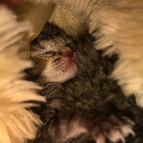 Photo #14041465
