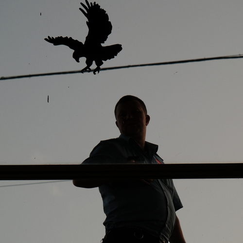 Photo #14041498