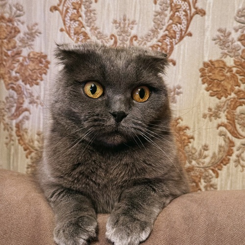Взгляд