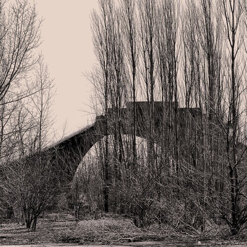 Photo #14041538