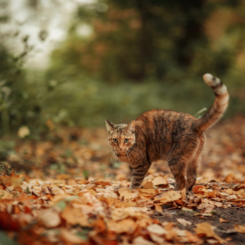 Photo #14041564
