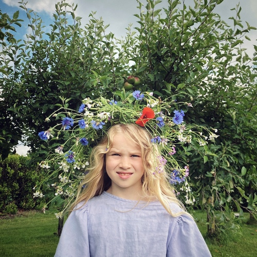 Photo #14041757