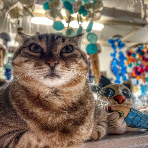 Photo #14041798