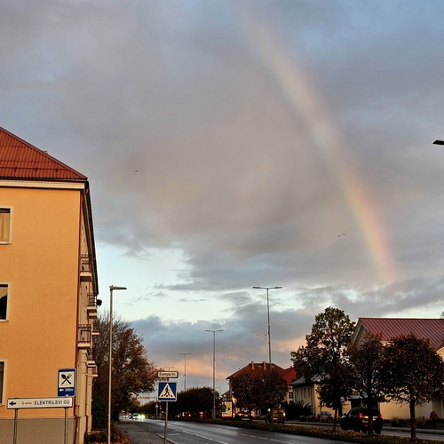 Photo #14041821