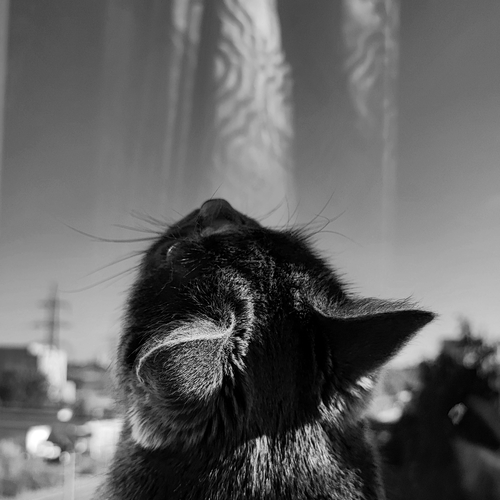Photo #14041829