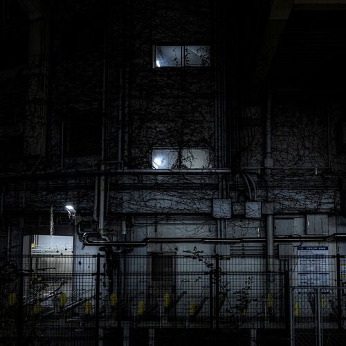 Photo #14041836