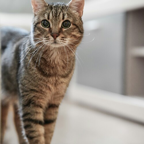Photo #14041919