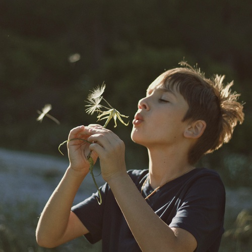 Photo #14042022