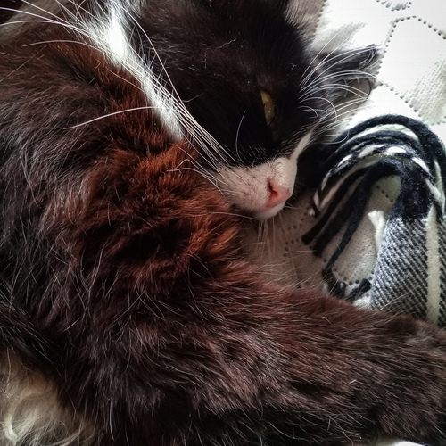 Photo #14042034