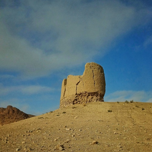 Photo #14042059