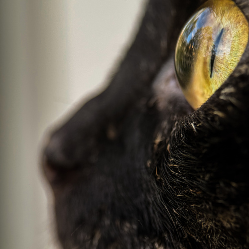 Photo #14042214