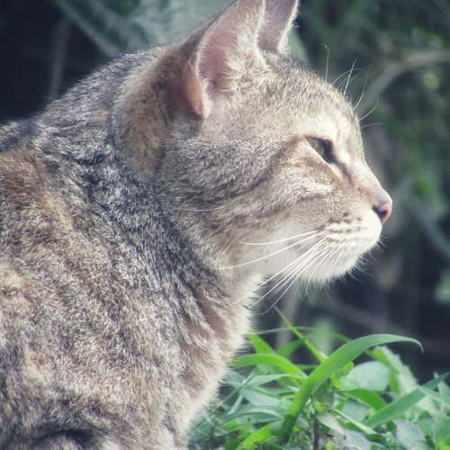 Photo #14042241