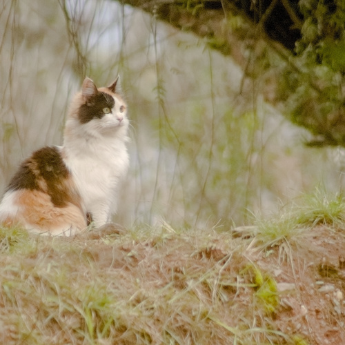 Photo #14042245