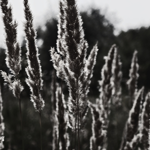 Photo #14042254