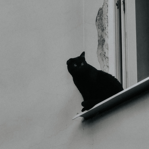 Photo #14042342