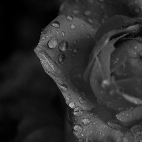 Photo #14042352