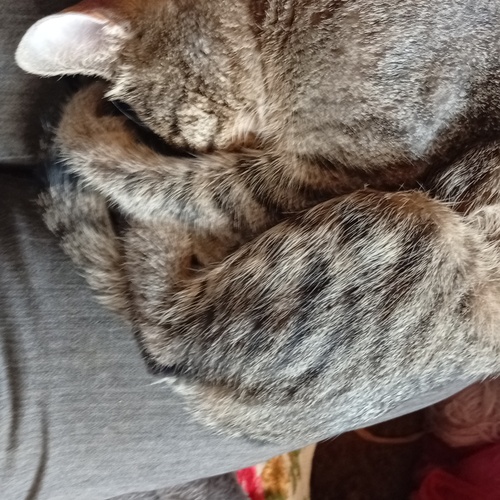 Photo #14042353
