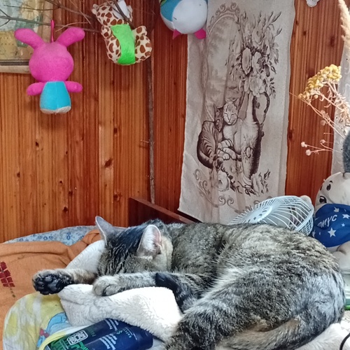 Photo #14042354