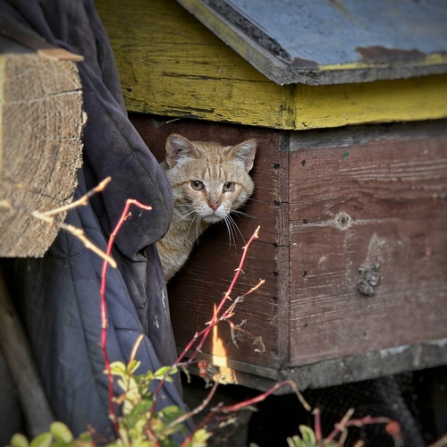 Photo #14042370