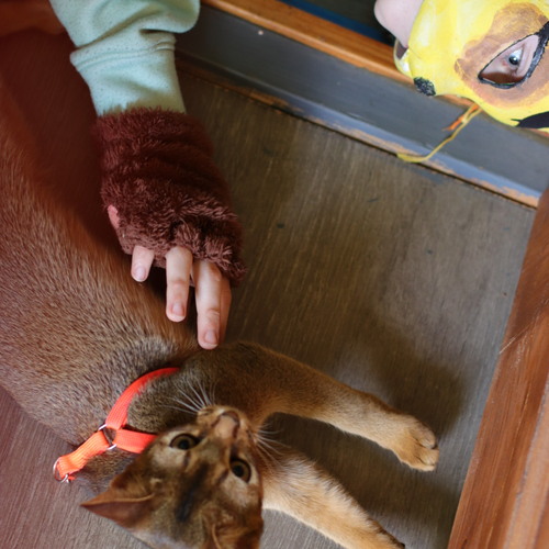 Photo #14042384