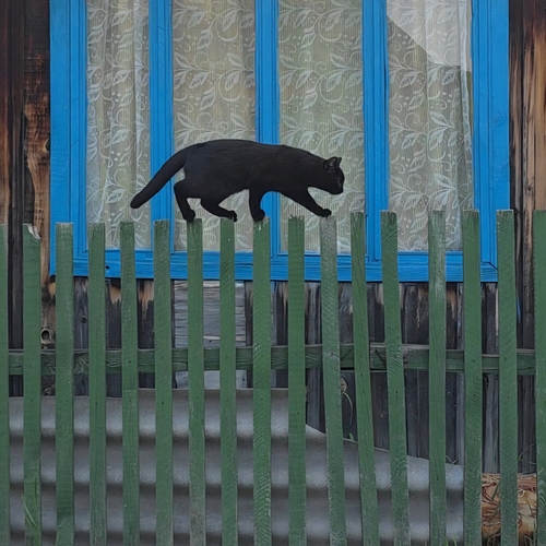 Photo #14042473