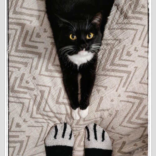 Photo #14042480