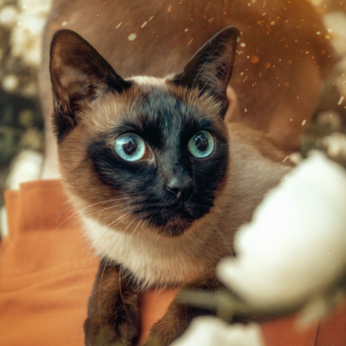 Photo #14042488