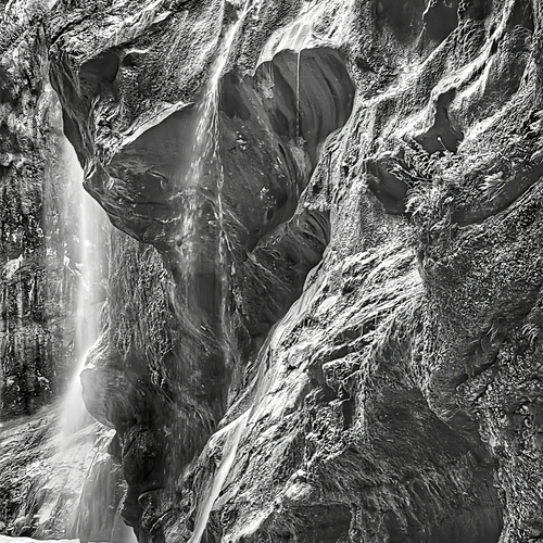Photo #14042491
