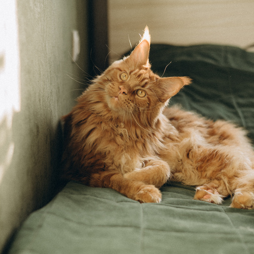 Photo #14042514