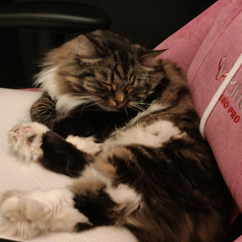 Photo #14042527