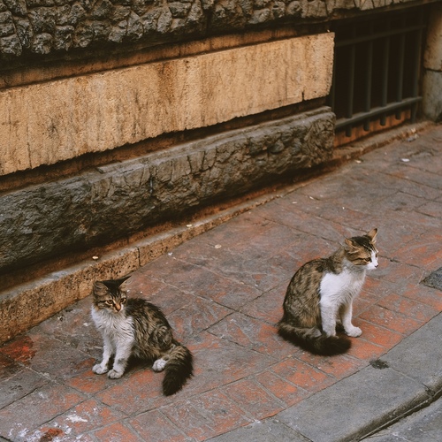 Photo #14042569