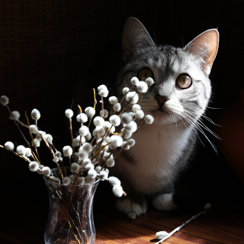 Photo #14042584